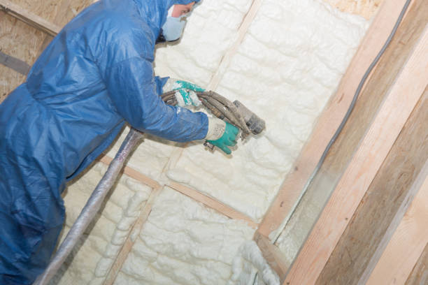 Best Batt and Roll Insulation  in River Edge, NJ